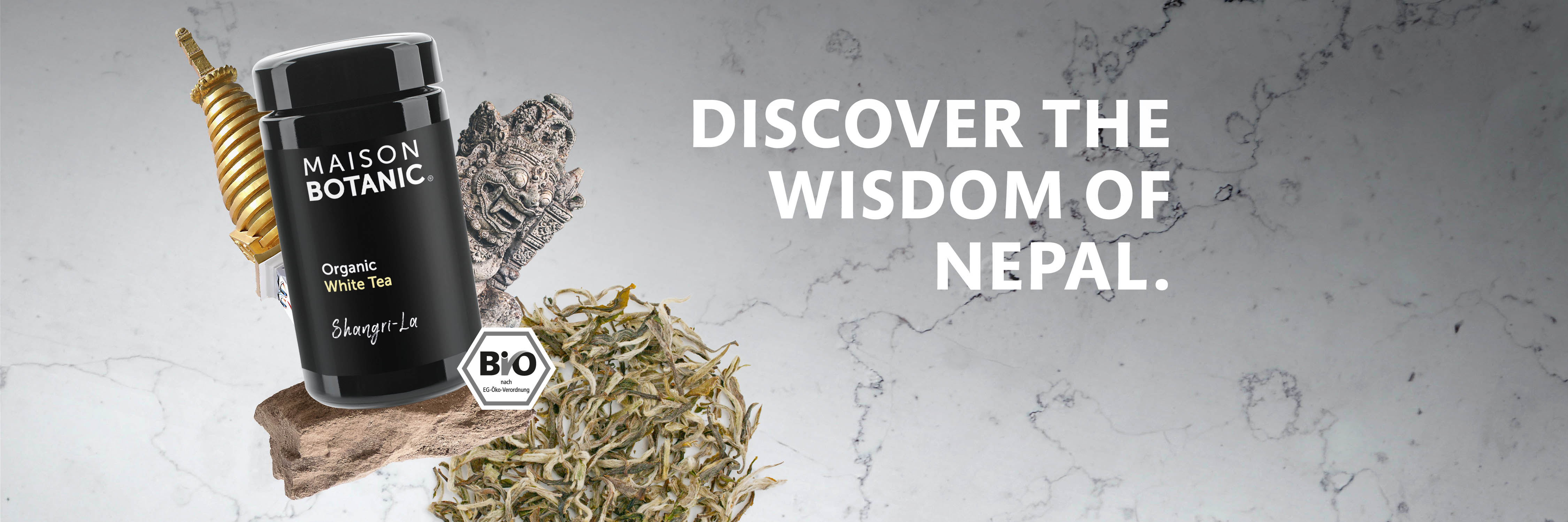 Organic White Tea Collection